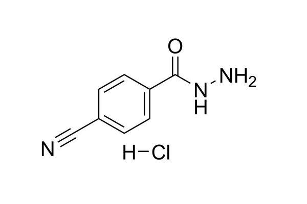 4-氰基乙酰苯肼盐酸盐