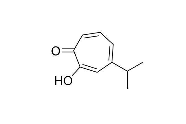 桧木醇